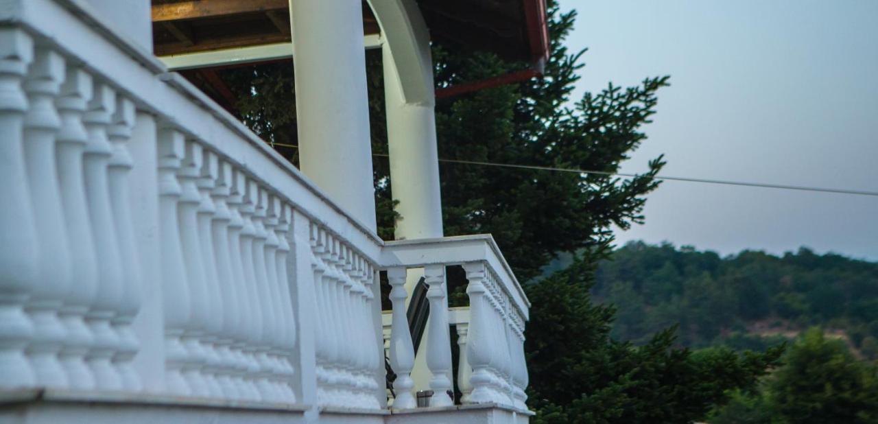 Villa Paradisos Likostomon Exteriér fotografie