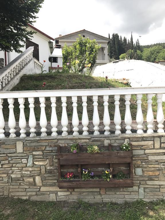 Villa Paradisos Likostomon Exteriér fotografie